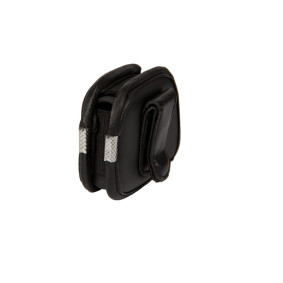 Accu-Chek Spirit Hard Shell vert.